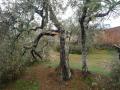 Imagen galeria 3